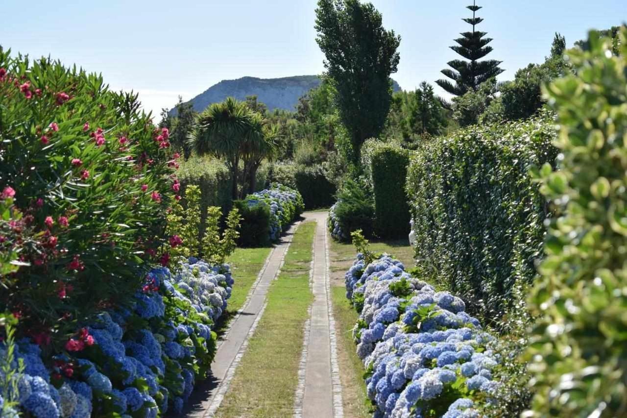 Quinta Da Meia Eira Castelo Branco  외부 사진