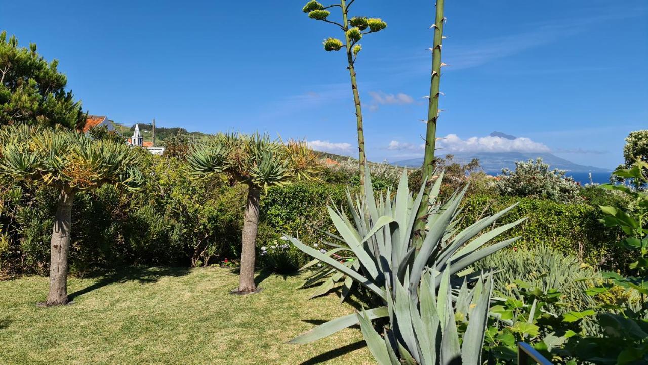 Quinta Da Meia Eira Castelo Branco  외부 사진